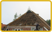 Elzinga Rietdekkers